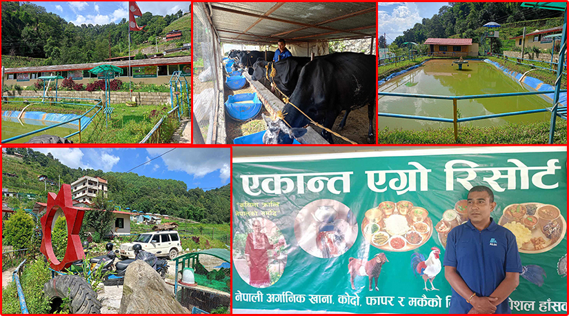 माओवादी पूर्वनेता थापाको तर्की, ‘एकान्त एग्रो रिर्सोट’ खोलेर मालामाल